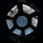 Dogs Do Their Duty for Science